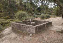 MIXED OWNERSHIP | ~11 ha | GALVEIAS – ALTO ALENTEJO _ Existing housing | Own water | Cork oak forest | Architecture study concluded.