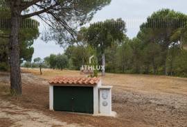 MIXED OWNERSHIP | ~11 ha | GALVEIAS – ALTO ALENTEJO _ Existing housing | Own water | Cork oak forest | Architecture study concluded.