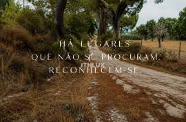 MIXED OWNERSHIP | ~11 ha | GALVEIAS – ALTO ALENTEJO _ Existing housing | Own water | Cork oak forest | Architecture study concluded.