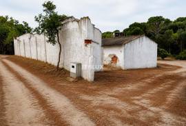 MIXED OWNERSHIP | ~11 ha | GALVEIAS – ALTO ALENTEJO _ Existing housing | Own water | Cork oak forest | Architecture study concluded.