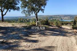 MIXED OWNERSHIP | ~11 ha | GALVEIAS – ALTO ALENTEJO _ Existing housing | Own water | Cork oak forest | Architecture study concluded.