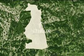 MIXED OWNERSHIP | ~11 ha | GALVEIAS – ALTO ALENTEJO _ Existing housing | Own water | Cork oak forest | Architecture study concluded.