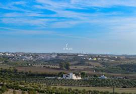 Property with premium location in the center of Campo Maior, with potential for 7 apartments and high profitability