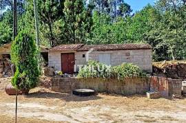 Country House in São Pedro do Sul