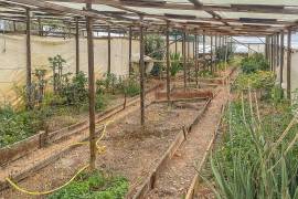 Country property for sale - Santa Clara-a-Velha Country property for sale - Santa Clara-a-Velha