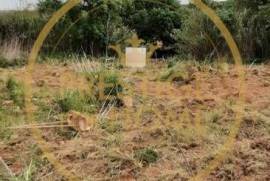 Located near the Roman bridge of Tôr, rustic land 1366 m2, contain a vegetable garden with 3 orange trees and 3 walnut trees, w / hole