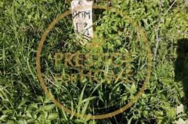 Located near the Roman bridge of Tôr, rustic land 1366 m2, contain a vegetable garden with 3 orange trees and 3 walnut trees, w / hole