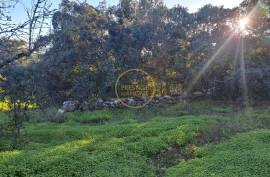 Land of 1.4ha with urban article of 660m2 - São Brás de Alportel Land of 1.4ha with urban article of 660m2 - São Brás de Alportel