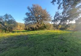 Land of 1.4ha with urban article of 660m2 - São Brás de Alportel Land of 1.4ha with urban article of 660m2 - São Brás de Alportel