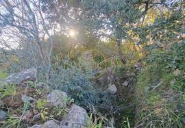 Land of 1.4ha with urban article of 660m2 - São Brás de Alportel Land of 1.4ha with urban article of 660m2 - São Brás de Alportel