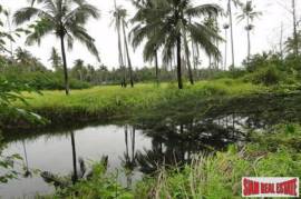 Plots of Land for Sale in Khao Lak with Road Access of Tarmac Plots of Land for Sale in Khao Lak with Road Access of Tarmac