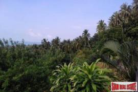 Sea View Land For Sale in Nathon Sea View Land For Sale in Nathon