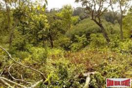 7 Rai of East Coast Sea View Land Koh Lanta 7 Rai of East Coast Sea View Land Koh Lanta