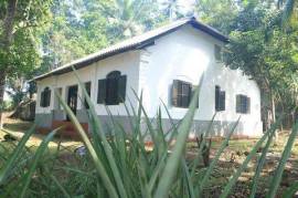 4 Bed House With Land For Sale In Madu River Area of Sri Lanka