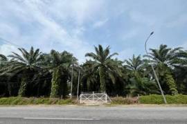 Development Land - Banting, Selangor