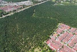 Development Land - Sungai Lalang, Kedah