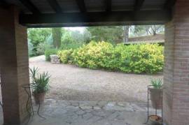 Country home with olive grove, fruit trees and small independent annex