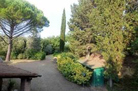 Country home with olive grove, fruit trees and small independent annex