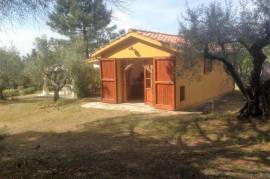 Country home with olive grove, fruit trees and small independent annex