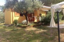 Country home with olive grove, fruit trees and small independent annex