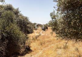 Land for construction with 13250 m2 | Terena
