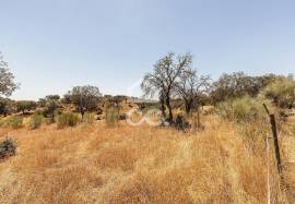 Land for construction with 13250 m2 | Terena