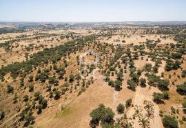 Land for construction with 13250 m2 | Terena