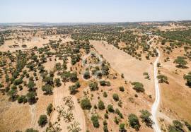 Land for construction with 13250 m2 | Terena
