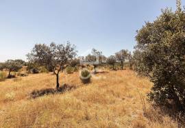 Land for construction with 13250 m2 | Terena
