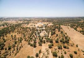 Land for construction with 13250 m2 | Terena