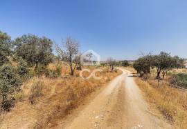 Land for construction with 13250 m2 | Terena