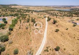 Land for construction with 13250 m2 | Terena