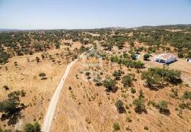 Land for construction with 13250 m2 | Terena