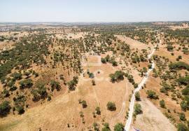 Land for construction with 13250 m2 | Terena
