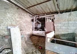 Farm with a manor house at a distance of 6km from the city center of Chaves