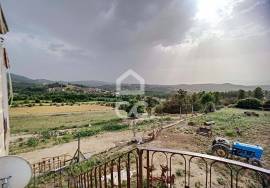 Farm with a manor house at a distance of 6km from the city center of Chaves