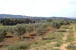 Complesso agro-turistico a Donori, Sardegna