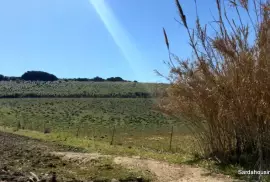 Arable land in Serdiana, Sardinia
