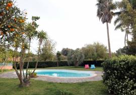 Homestead with Pool and Garden in Alentejo