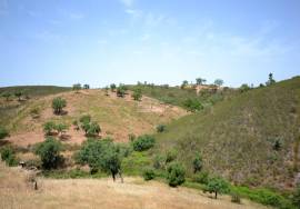 Two old houses with/ Land