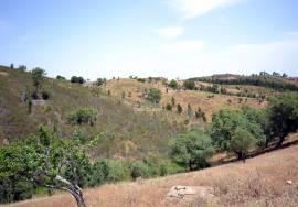 Two old houses with/ Land