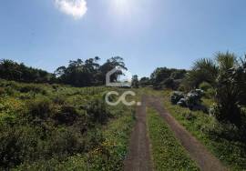 Set of 2 Villas - Face of the Dog (Livramento) - Ponta Delgada