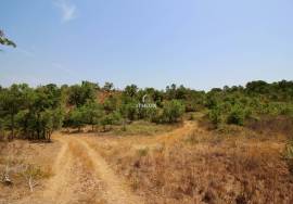 Rural Property in São Francisco da Serra with 9.875000 ha and sea view.