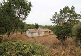 Rural Property in São Francisco da Serra with 9.875000 ha and sea view.