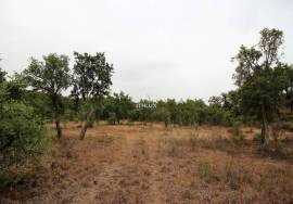 Rural Property in São Francisco da Serra with 9.875000 ha and sea view.