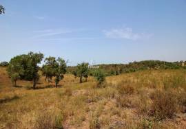 Rural Property in São Francisco da Serra with 9.875000 ha and sea view.