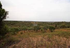 Rural Property in São Francisco da Serra with 9.875000 ha and sea view.