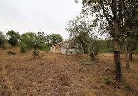 Rural Property in São Francisco da Serra with 9.875000 ha and sea view.