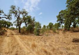 Rural Property in São Francisco da Serra with 9.875000 ha and sea view.