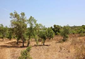 Rural Property in São Francisco da Serra with 9.875000 ha and sea view.